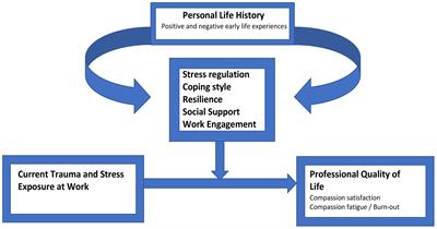 Workplace trauma and professional quality of Life in clinical and forensic psychiatry: the CRITIC study